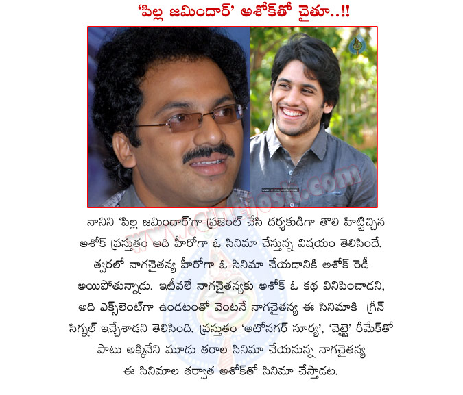 naga chaitanya,pilla zamindar ashok,akkineni hero,naga chaitanya with ashok,pilla zamindar ashok directs naga chaitanya,yuva samrat,akkineni naga chaitanya,naga chaitanya movies  naga chaitanya, pilla zamindar ashok, akkineni hero, naga chaitanya with ashok, pilla zamindar ashok directs naga chaitanya, yuva samrat, akkineni naga chaitanya, naga chaitanya movies